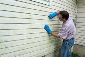 Best Wood Siding Installation  in Wadsworth, IL